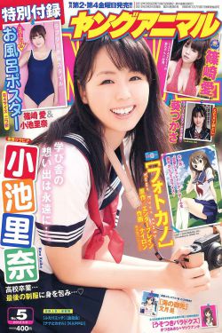 gay视频